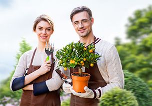 Проект «под ключ» где можно заказать по низкой цене  во Владимире