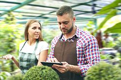 Дендроплан - верное планирование территории и решения этой задачи на уровне  во Владимире