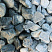 Kamenclub.ru: Щебень галтованный зеленый (змеевик) фр. 50-100 мм.  купить во Владимире галтовка мраморная зеленый, салатовый мрамор 12 500 руб/т   фото КАМЕНЬ КЛУБ