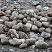 Kamenclub.ru: Речной валун (Ассорти) фр.100-300 мм.  купить во Владимире галечник серый, темно-серый, светло-серый речная галька крупных размеров 4200 руб/т   фото КАМЕНЬ КЛУБ