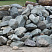 Kamenclub.ru: Гранит скальник (серо-зеленый) фр. 100-500 мм.  купить во Владимире гранит зеленый, серый, салатовый крупный ландшафтный валун 6 000 руб/т   фото КАМЕНЬ КЛУБ