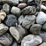 Kamenclub.ru: Речной валун Кабанчик фр.300-500 мм.  купить во Владимире крупный природный камень галька серый, темно-серый речной валун галечник масштабный 7000 руб/т   фото КАМЕНЬ КЛУБ