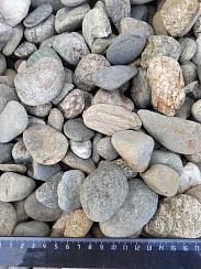 Kamenclub.ru: Галька речная окат (пестрая) фр. 20-40 мм. купить  во Владимире галька речная пестрая, серая, серые оттенки галька речная окатанная округлая 5000 руб/т   фото КАМЕНЬ КЛУБ