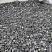Kamenclub.ru: Щебень крошка черный (мрамор) фр. 10-20 мм.  купить во Владимире мрамор черный с белыми прожилками, черный, белый каменная ландшафтная декоративная крошка щебня 11000 руб/т   фото КАМЕНЬ КЛУБ