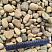 Kamenclub.ru: Галька речная окат рыжая фр. 20-40 мм. купить  во Владимире галька речная окатанная рыжая желтая серая округлая речная галька 5000 руб/т   фото КАМЕНЬ КЛУБ