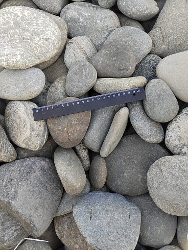 Kamenclub.ru: Галька речная плоская (серо-белая) фр. 70-120 мм. купить  во Владимире галька галечник речной серый, белый окатанная плоская  природная галька 9000 руб/т   фото КАМЕНЬ КЛУБ