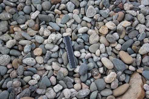 Kamenclub.ru: Галька речная окат (пестрая) фр. 20-40 мм. купить  во Владимире галька речная пестрая, серая, серые оттенки галька речная окатанная округлая 5000 руб/т   фото КАМЕНЬ КЛУБ