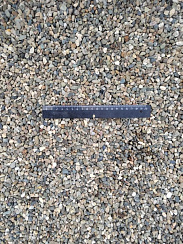 Kamenclub.ru: Галька речная окат (серая) фр.5-10 мм купить  во Владимире галька речная серая, серый, темно-серый, светло-серый, коричневый речная окатанная галька декоративная ландшатфная 5000 руб/т   фото КАМЕНЬ КЛУБ