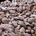 Kamenclub.ru: Розовый валунчик фр.100-300 мм.  купить во Владимире крупный природный камень розовый, серый молочный красный речной галечник природный 7850 руб/т   фото КАМЕНЬ КЛУБ