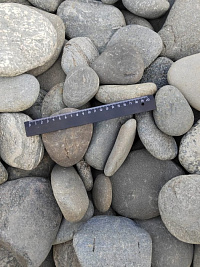 Kamenclub.ru: Галька речная плоская (серо-белая) фр. 70-120 мм. купить во Владимире галька галечник речной серый, белый окатанная плоская  природная галька 9000 руб/т   фото КАМЕНЬ КЛУБ