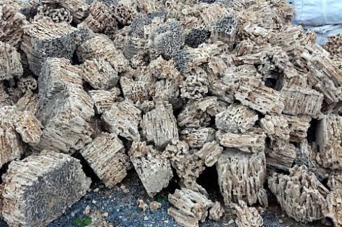 Kamenclub.ru: Крымский природный меотис фр. 100-500 мм.  купить во Владимире меотис бежевый рыжий молочный желтый ракушечник 4 500 руб/т   фото КАМЕНЬ КЛУБ