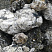 Kamenclub.ru: Черный гранит - кварцит фр. 100-500 мм.  купить во Владимире мрамор гранит черный с белыми прожилками, серый, белый валун скальный колотый 7000 руб/т   фото КАМЕНЬ КЛУБ