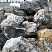Kamenclub.ru: Черный гранит - кварцит фр. 500-1000 мм.  купить во Владимире гранит кварцит черный серый белый скальный колотый валун 9750 руб/т   фото КАМЕНЬ КЛУБ