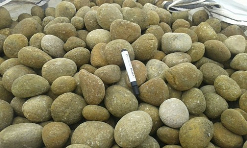 Kamenclub.ru: Песчаник ядра, фр. 100-300 мм  купить во Владимире песчаник бежевый серый рыжий речная галька 5 000 руб/т   фото КАМЕНЬ КЛУБ