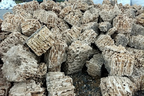 Kamenclub.ru: Крымский природный меотис фр. 100-500 мм.  купить во Владимире меотис бежевый рыжий молочный желтый ракушечник 4 500 руб/т   фото КАМЕНЬ КЛУБ