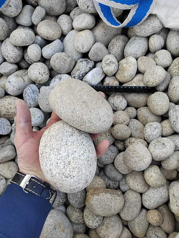 Kamenclub.ru: Галька речная окат (серо-белая) фр. 70-120 мм купить  во Владимире галька галечник бело-серая, серо-белая, серая, белая речная природная галька  8000 руб/т   фото КАМЕНЬ КЛУБ