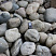 Kamenclub.ru: Темно-серый валунчик фр.100-300 мм.  купить во Владимире крупный природный камень серый, темно-серый, светло-серый речная галька большого размера окатанная 4500 руб/т   фото КАМЕНЬ КЛУБ
