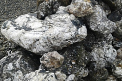 Kamenclub.ru: Черный гранит - кварцит фр. 500-1000 мм.  купить во Владимире гранит кварцит черный серый белый скальный колотый валун 9750 руб/т   фото КАМЕНЬ КЛУБ