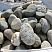 Kamenclub.ru: Речной валун (Ассорти) фр.100-300 мм.  купить во Владимире галечник серый, темно-серый, светло-серый речная галька крупных размеров 4200 руб/т   фото КАМЕНЬ КЛУБ