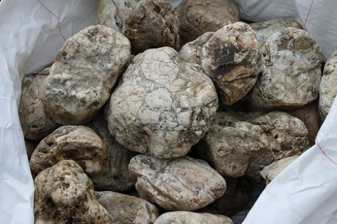 Kamenclub.ru: Кварцевый валунчик фр.100-300 мм.  купить во Владимире кварц белый, бежевый молочный рыжий крупный природный камень галечник 7850 руб/т   фото КАМЕНЬ КЛУБ