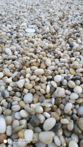 фото Галька крымская жемчужная фр. 5-10 мм. в интернет-портале КАМЕНЬ КЛУБ