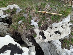 Kamenclub.ru: Выветренный известняк (степной) фр. 500-1500 мм.  купить во Владимире    10000 руб/т   фото КАМЕНЬ КЛУБ