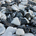 Kamenclub.ru: Мраморная крошка (щебень галтованный микс:: белый-черный) фр.20-40 мм  купить во Владимире мрамор белый, черный мраморный галтованный щебень 15500 руб/т   фото КАМЕНЬ КЛУБ