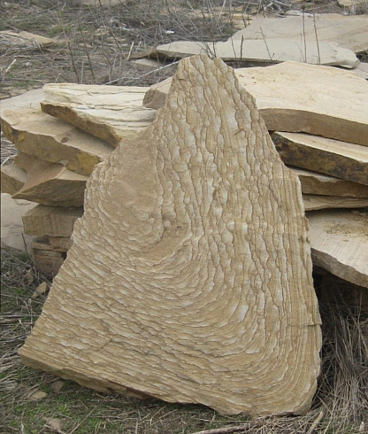 Kamenclub.ru: Форматный камень (плаха) пошаговая дорожка от 70-150 см (4 -12 см)  купить во Владимире плитняк  форматный плаха желтый песчаник 9 000 руб/т   фото КАМЕНЬ КЛУБ