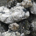 Kamenclub.ru: Черный гранит - кварцит фр. 100-500 мм.  купить во Владимире мрамор гранит черный с белыми прожилками, серый, белый валун скальный колотый 7000 руб/т   фото КАМЕНЬ КЛУБ