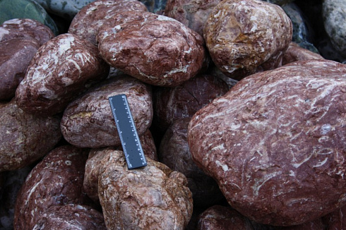 Kamenclub.ru: Розовый валунчик фр.100-300 мм.  купить во Владимире крупный природный камень розовый, серый молочный красный речной галечник природный 7850 руб/т   фото КАМЕНЬ КЛУБ