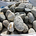 Kamenclub.ru: Речной валун (Ассорти) фр.100-300 мм.  купить во Владимире галечник серый, темно-серый, светло-серый речная галька крупных размеров 4200 руб/т   фото КАМЕНЬ КЛУБ
