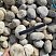Kamenclub.ru: Галька речная окат (серо-белая) фр. 70-120 мм купить  во Владимире галька галечник бело-серая, серо-белая, серая, белая речная природная галька  8000 руб/т   фото КАМЕНЬ КЛУБ