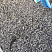Kamenclub.ru: Галька речная окат (серая) фр.3-5 мм купить  во Владимире галька речная серая бежевый темно-серый окатанный речной камень округлый 9500 руб/т   фото КАМЕНЬ КЛУБ