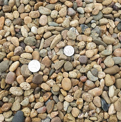 Kamenclub.ru: Галька окат (серо-желтая) фр.10-20 мм. купить  во Владимире галька серо-желтая, рыжая, серый речная окатанная округлая галька 5000 руб/т   фото КАМЕНЬ КЛУБ