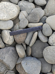 Kamenclub.ru: Галька речная плоская (ассорти) фр. 70-150 мм. купить во Владимире галька галечник серый белый темно-серый синий светло-серый плоская природная галька  9000 руб/т   фото КАМЕНЬ КЛУБ