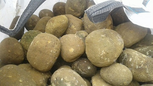 Kamenclub.ru: Песчаник ядра, фр. 100-300 мм  купить во Владимире песчаник бежевый серый рыжий речная галька 5 000 руб/т   фото КАМЕНЬ КЛУБ