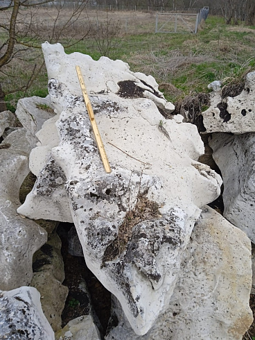 Kamenclub.ru: Выветренный известняк со мхом фр. 100-500 мм.  купить во Владимире известняк серый белый зеленый валун известняковый крупный 10000 руб/т   фото КАМЕНЬ КЛУБ