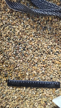 Kamenclub.ru: Галька окат (серо-желтая) фр.5-10 мм. купить  во Владимире галька речная рыжий, желтый, рыжий, серо-желтый речная окатанная галька декоративная 5000 руб/т   фото КАМЕНЬ КЛУБ