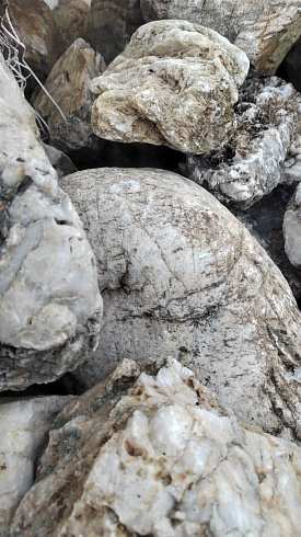 Kamenclub.ru: Кварцевый валунчик фр.100-300 мм.  купить во Владимире кварц белый, бежевый молочный рыжий крупный природный камень галечник 7850 руб/т   фото КАМЕНЬ КЛУБ