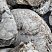Kamenclub.ru: Кварцевый валунчик фр.100-300 мм.  купить во Владимире кварц белый, бежевый молочный рыжий крупный природный камень галечник 7850 руб/т   фото КАМЕНЬ КЛУБ