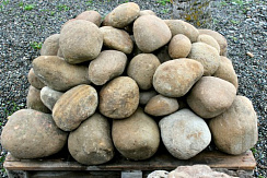 Kamenclub.ru: Песчаник ядра, фр. 100-300 мм  купить во Владимире песчаник бежевый серый рыжий речная галька 5 000 руб/т   фото КАМЕНЬ КЛУБ