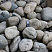 Kamenclub.ru: Речной валун (Ассорти) фр.100-300 мм.  купить во Владимире галечник серый, темно-серый, светло-серый речная галька крупных размеров 4200 руб/т   фото КАМЕНЬ КЛУБ