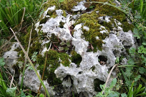 Kamenclub.ru: Выветренный известняк со мхом фр. 100-500 мм.  купить во Владимире известняк серый белый зеленый валун известняковый крупный 10000 руб/т   фото КАМЕНЬ КЛУБ