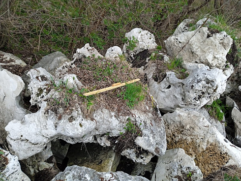 Kamenclub.ru: Выветренный известняк (степной) фр. 500-1500 мм.  купить во Владимире    10000 руб/т   фото КАМЕНЬ КЛУБ