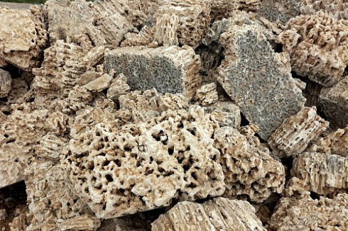 Kamenclub.ru: Крымский природный меотис фр. 100-500 мм.  купить во Владимире меотис бежевый рыжий молочный желтый ракушечник 4 500 руб/т   фото КАМЕНЬ КЛУБ