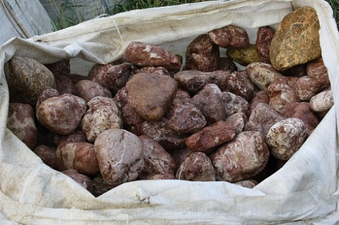 Kamenclub.ru: Розовый валунчик фр.100-300 мм.  купить во Владимире крупный природный камень розовый, серый молочный красный речной галечник природный 7850 руб/т   фото КАМЕНЬ КЛУБ