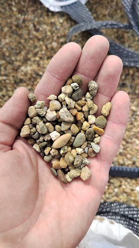 Kamenclub.ru: Галька окат (серо-желтая) фр.5-10 мм. купить  во Владимире галька речная рыжий, желтый, рыжий, серо-желтый речная окатанная галька декоративная 5000 руб/т   фото КАМЕНЬ КЛУБ